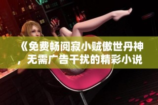 《免费畅阅寂小贼傲世丹神，无需广告干扰的精彩小说》