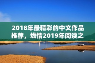 2018年最精彩的中文作品推荐，燃情2019年阅读之旅