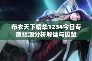 布衣天下精华1234今日专家预测分析解读与展望