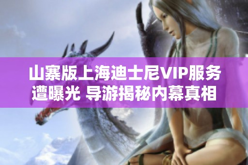 山寨版上海迪士尼VIP服务遭曝光 导游揭秘内幕真相