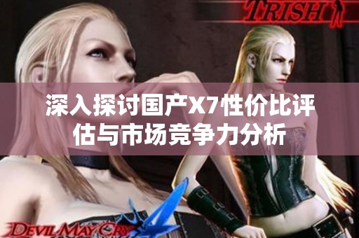 深入探讨国产X7性价比评估与市场竞争力分析